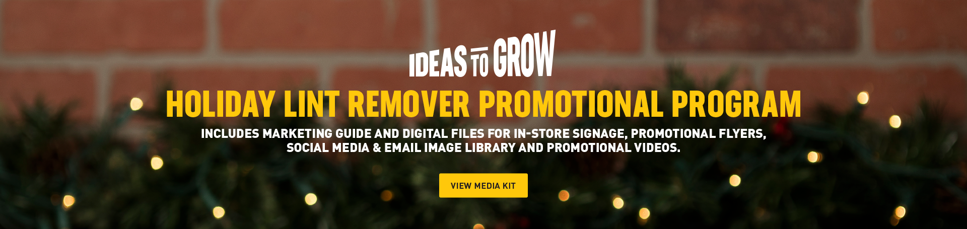 Ideas to Grow Holiday Lint Remover Promotional Program